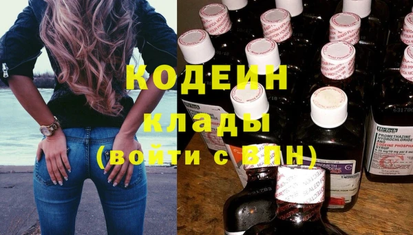 прущий лед Карпинск