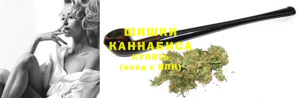 ПСИЛОЦИБИНОВЫЕ ГРИБЫ Каменногорск
